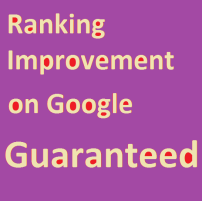 guaranteed seo services