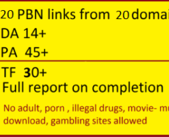 Buy 20 pbn links